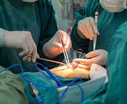 Saraswathy Institutions